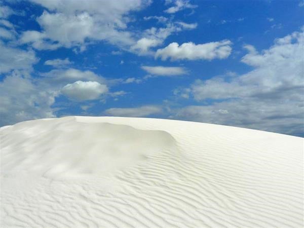 new mexico white sand park 1